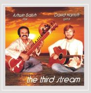 The Third Stream - Sitar and Guitar Jugalbandi